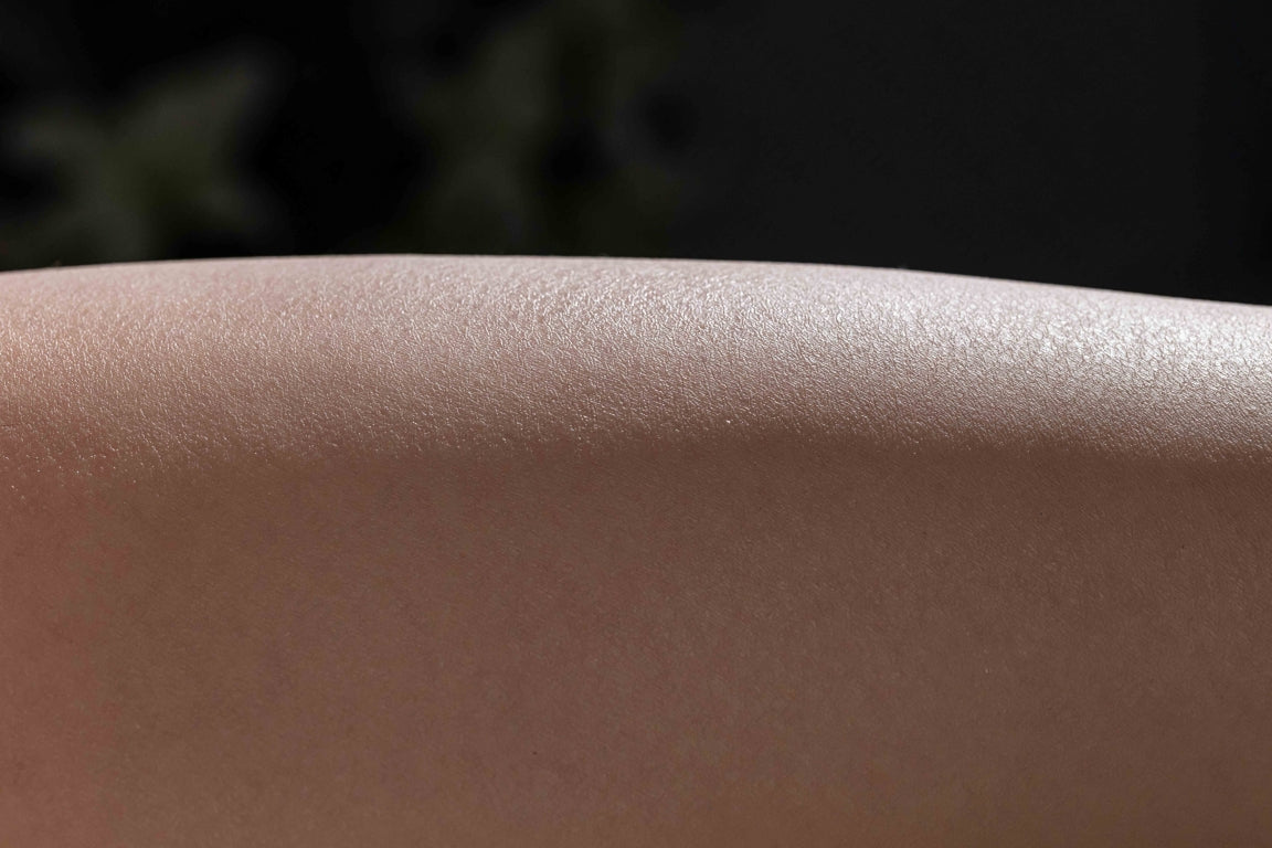 Yulania sexpuppe (AITIA Puppe 163cm E-cup 2.2 Silikon)