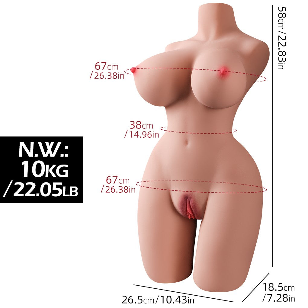 Torso curvy (EL-Doll 58cm e-cup tpe) EXPRESS