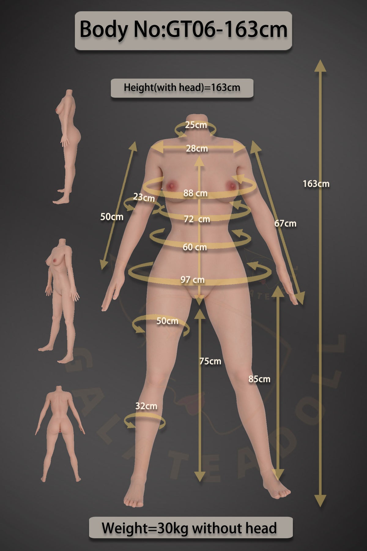 Fiona poupée sexuelle (Galatea Doll 163cm Bonnet D #163 Silicone)