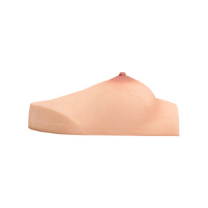 Brüste (en) Torso sexpuppe (Climax Doll Pro a-cup Silikon)
