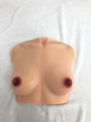Brüste (en) Torso sexpuppe (Climax Doll Pro B-cup Silikon)