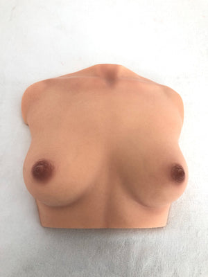 Brüste (en) Torso sexpuppe (Climax Doll Pro B-cup Silikon)