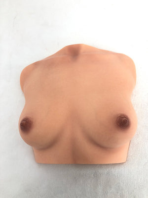 Brüste (en) Torso sexpuppe (Climax Doll Pro B-cup Silikon)
