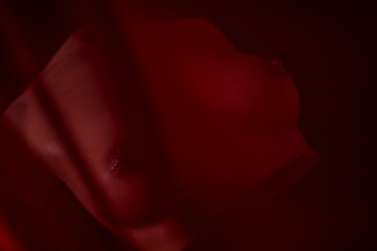 Poitrine (S) Torse poupée sexuelle (Climax Doll Bonnet Pro B Silicone)