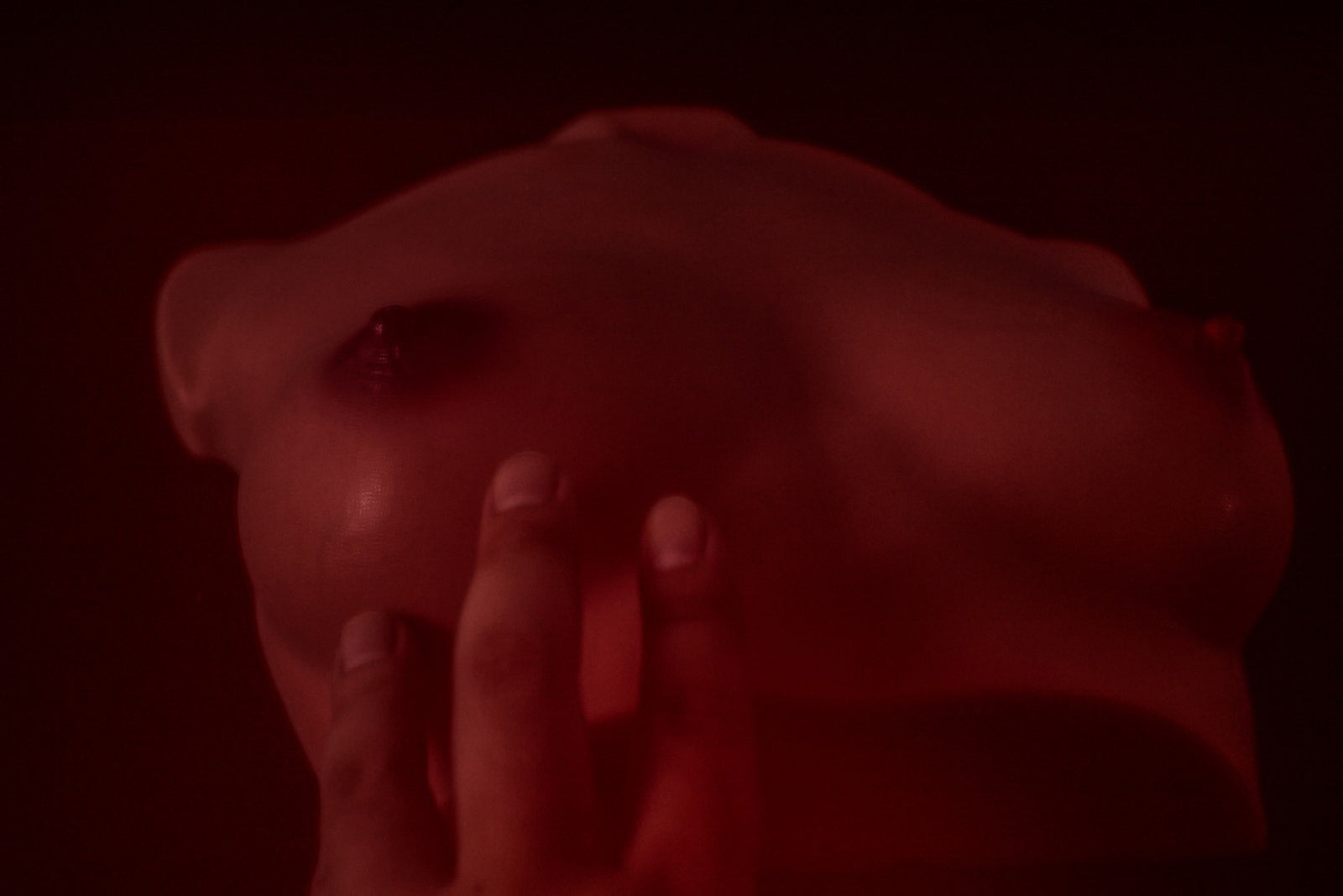 Poitrine (S) Torse poupée sexuelle (Climax Doll Bonnet Pro B Silicone)