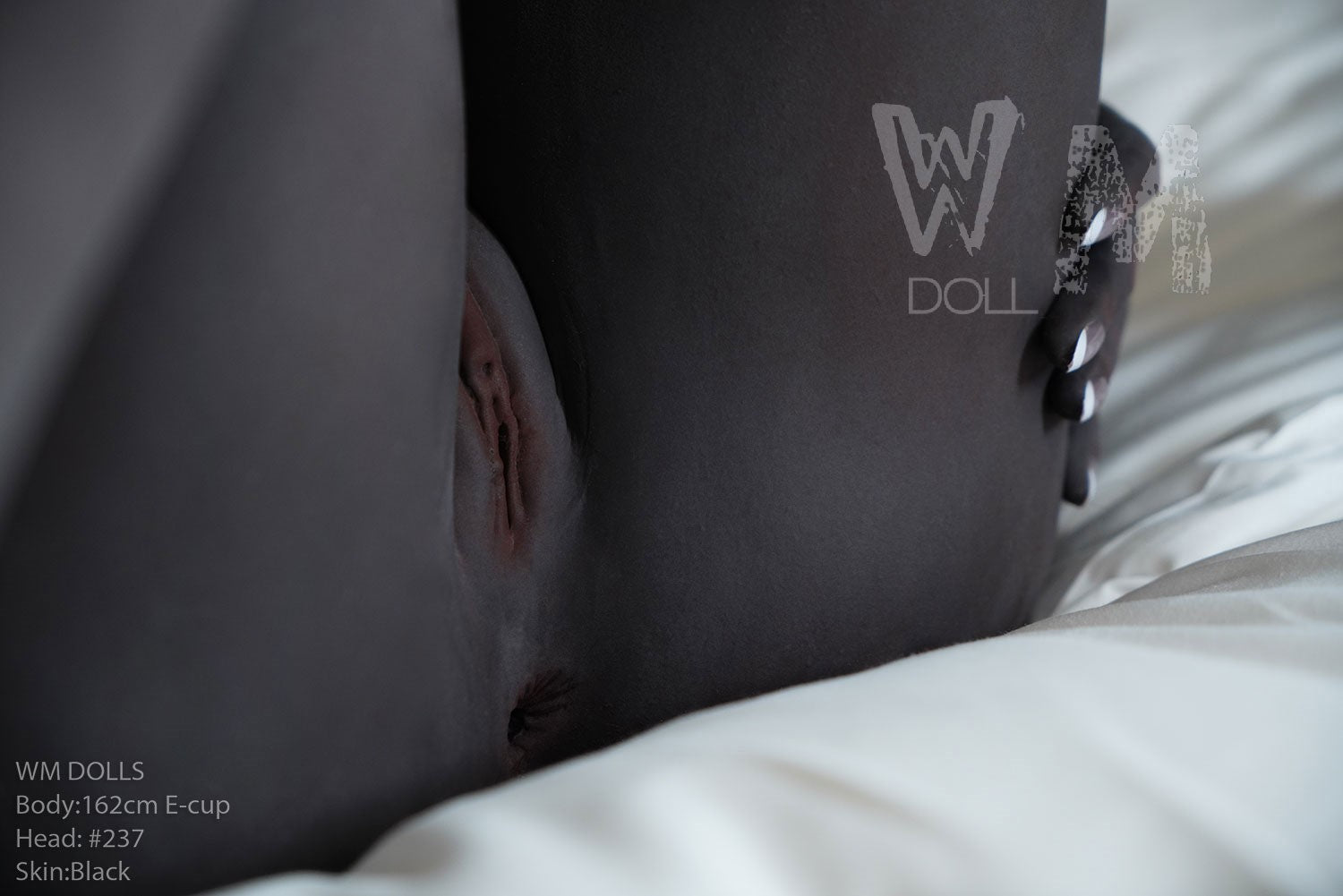 Sahara Sex Doll (WM-Doll 162cm e-cup #237 tpe)