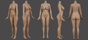 Celine Sex doll (Galatea Doll 163cm d-cup #198 silicone)