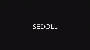 Jessie sexpuppe (SEDoll 161 cm f-cup #088 tpe) EXPRESS