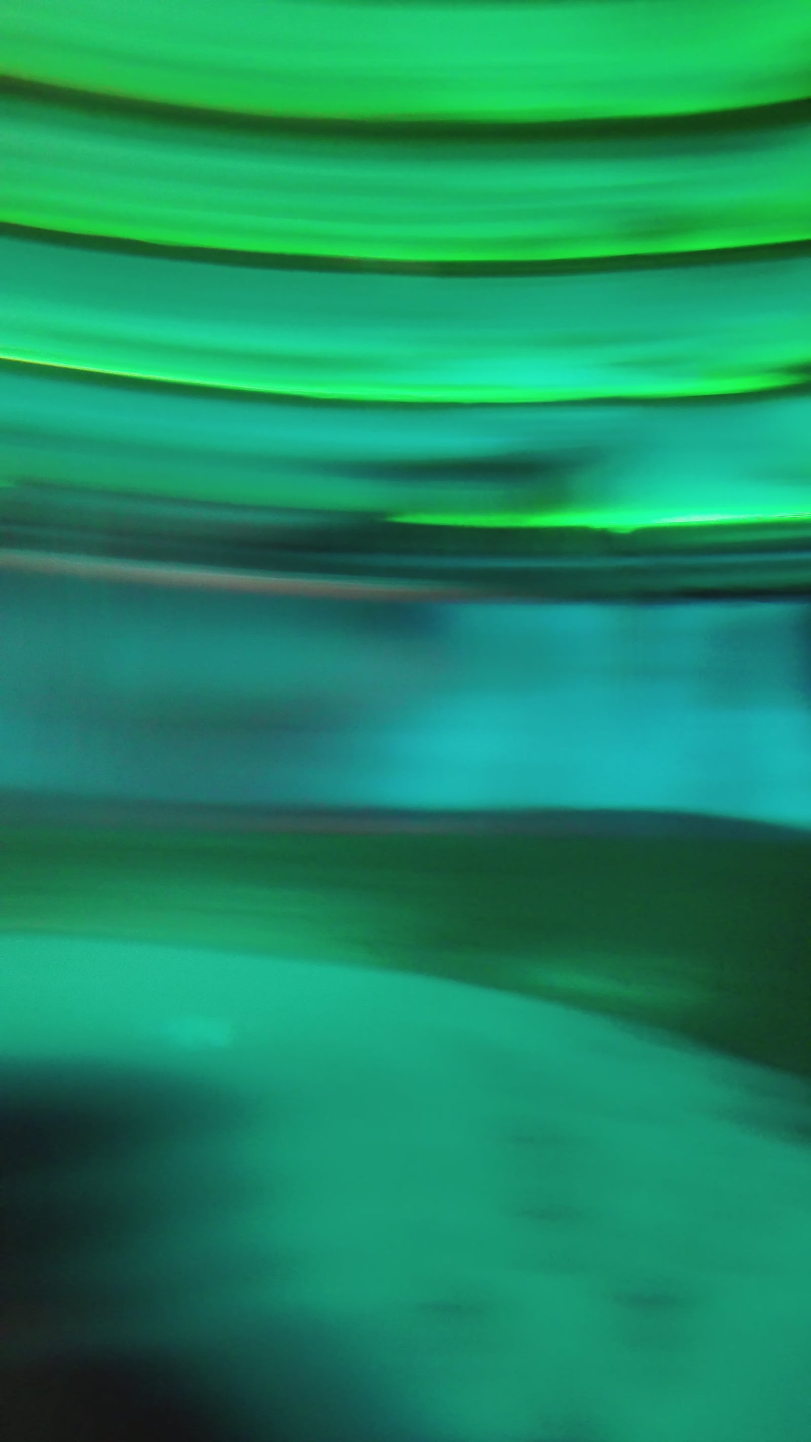 Nicole Sex doll (Zelex 162cm D-cup GE68-1 silicone)