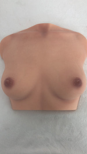 Brüste (en) Torso sexpuppe (Climax Doll Pro B-cup Silikon)
