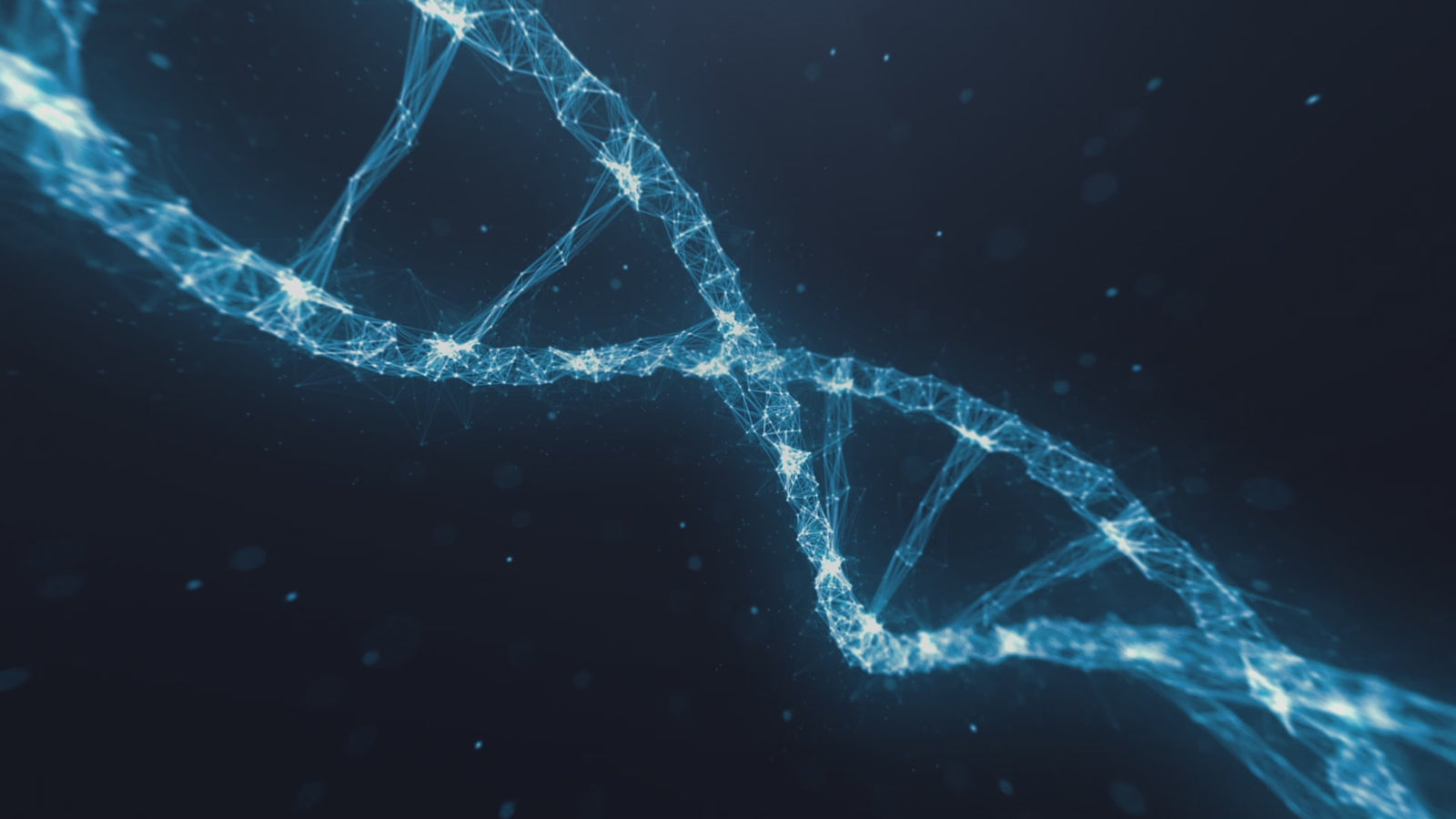 Phoebe sexpuppe (XT Doll 164 cm C-cup #XT-22 Silikon)