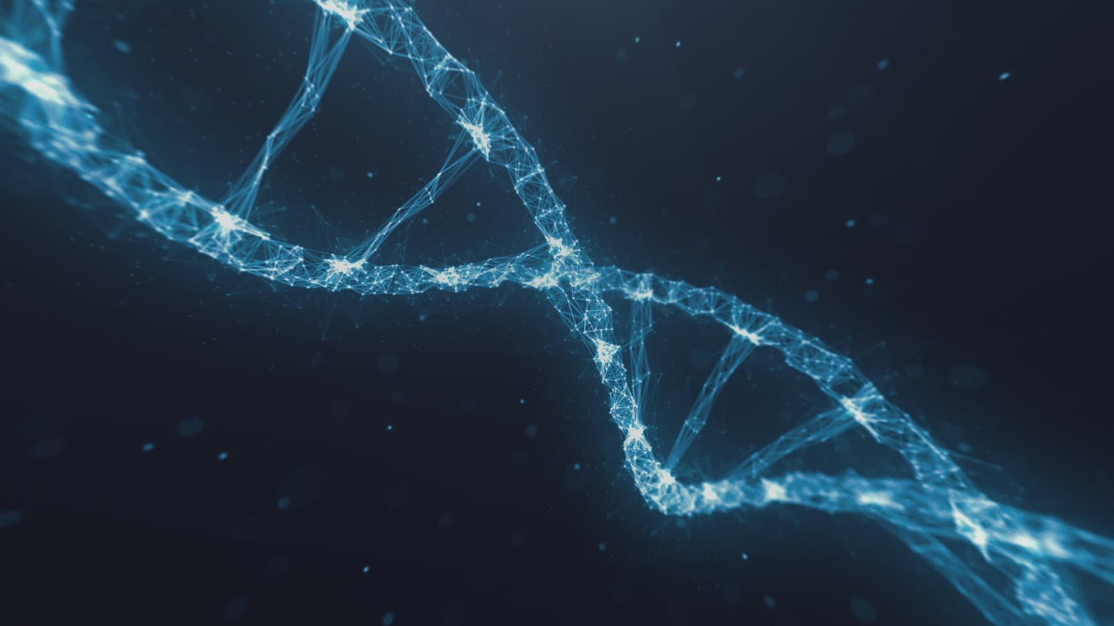 Akira Sex doll (XT Doll 150cm D-cup #XT pants2 silicone)