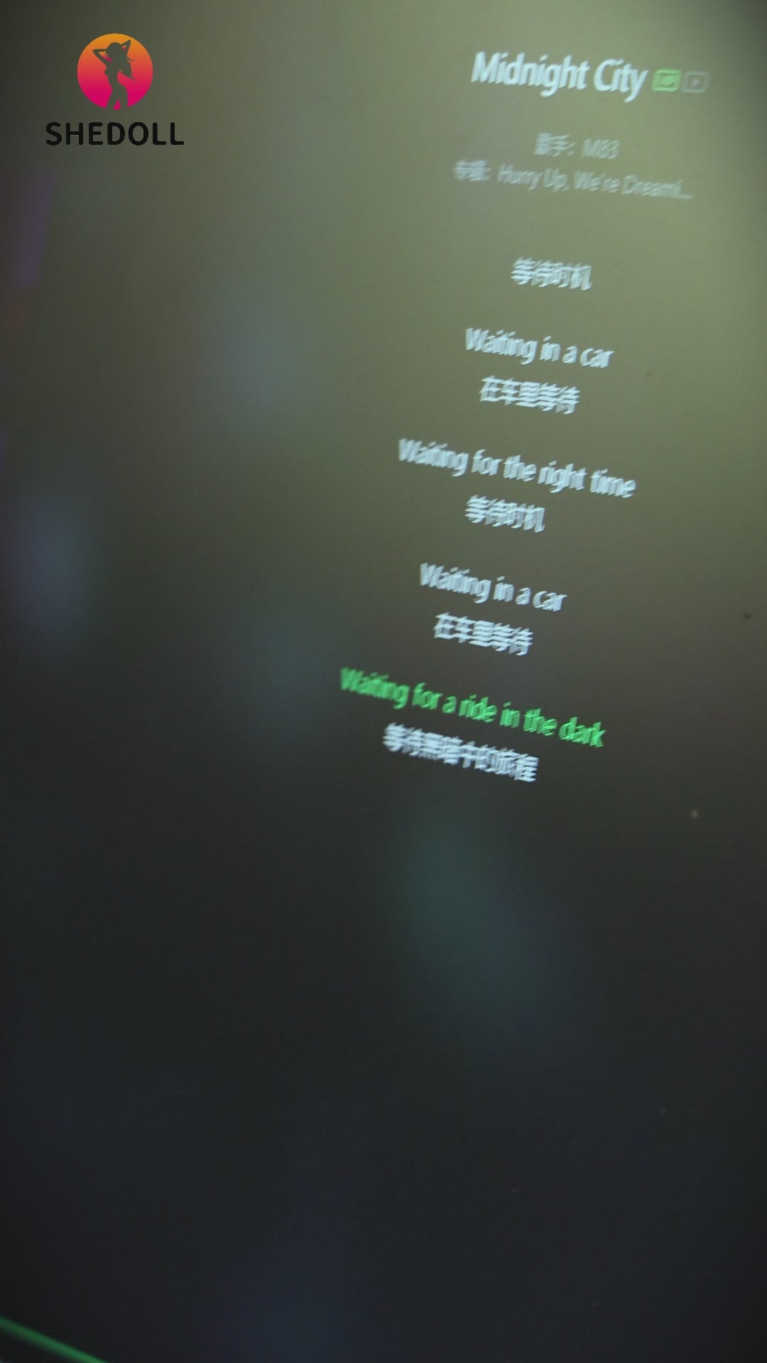 Kosame poupée sexuelle (SHEDOLL Bonnet E 170 cm #SH146 2.0 TPE+Silicone)