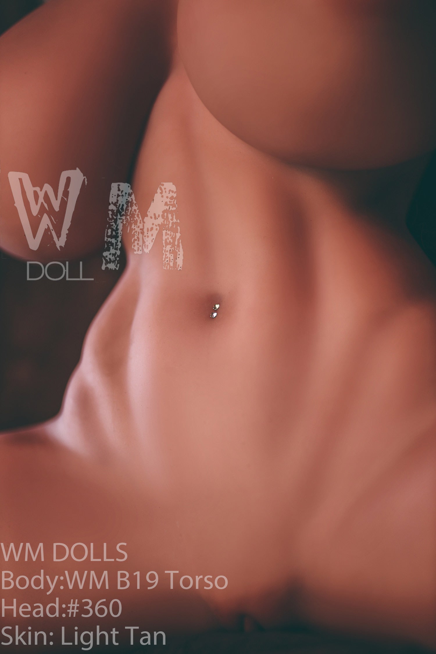 Brandy poupée sexuelle (WM-Doll Torse B19 89cm J-Cup # 360 TPE)
