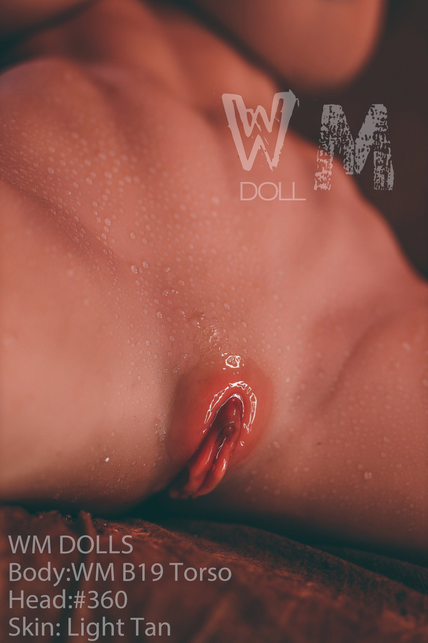 Brandy poupée sexuelle (WM-Doll Torse B19 89cm J-Cup # 360 TPE)